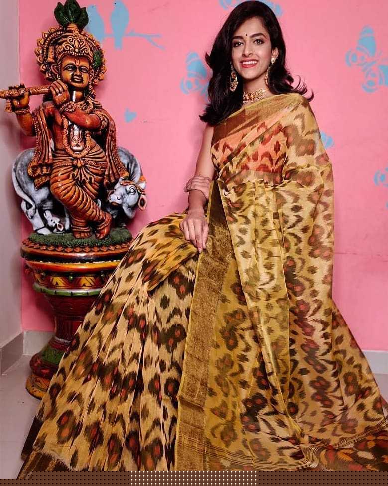 YNF SOFT SILK RRW 02 SILK SAREES WHOLESALE SOFT SILK TRADITIONAL IKAT SAREES MANUFACTURER